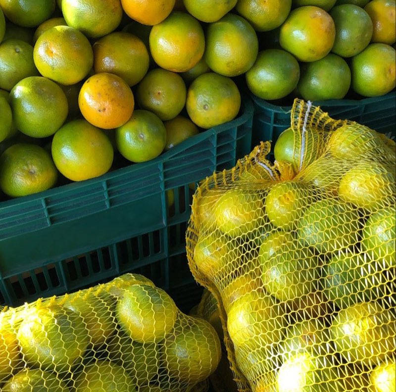 Caixas e sacos de rede com laranjas
